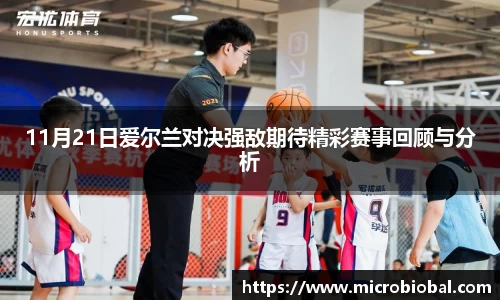 BB贝博登录入口